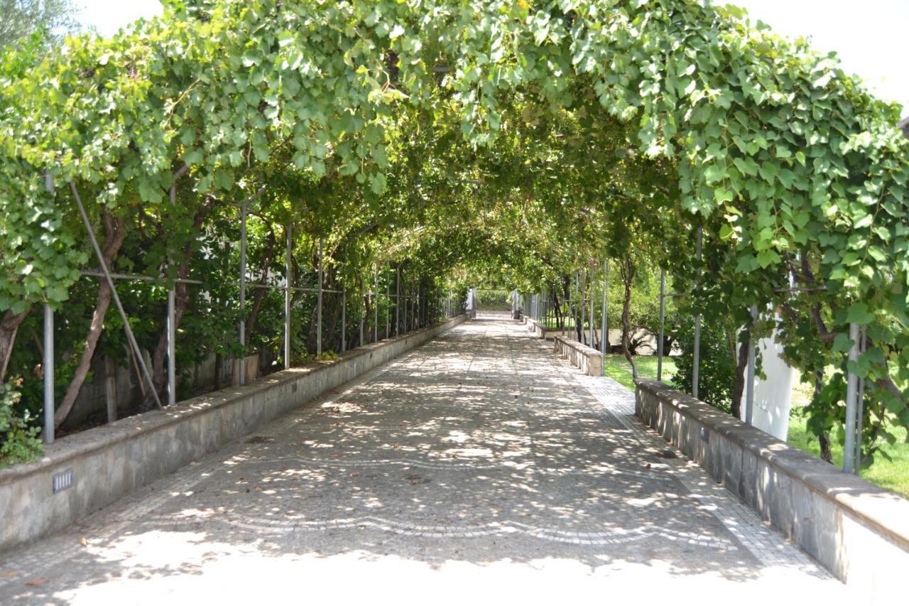 I Giardini Del Vesuvio Villa Somma Vesuviana Exterior photo